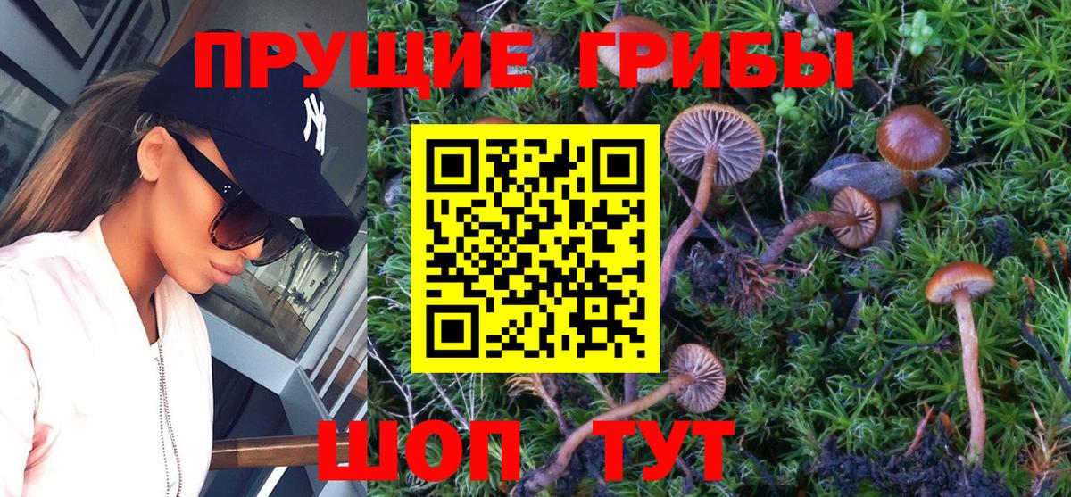 Псилоцибиновые грибы Magic Shrooms Серов